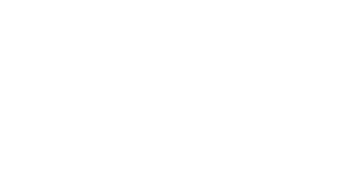 WordPress-1.png
